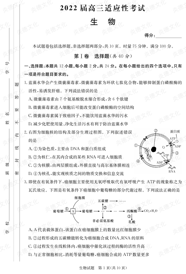 [生物]炎德英才大聯(lián)考2022屆長(cháng)郡中學(xué)高三5次月考（2022屆高三適應性考試）